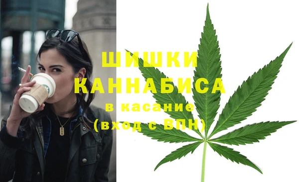 МДПВ Протвино