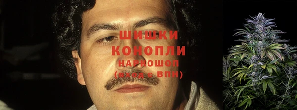 МДПВ Протвино