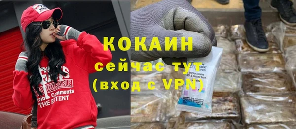 МДПВ Протвино