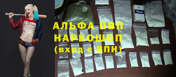 гашик Абаза