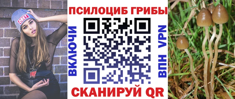 Галлюциногенные грибы GOLDEN TEACHER  Южа 